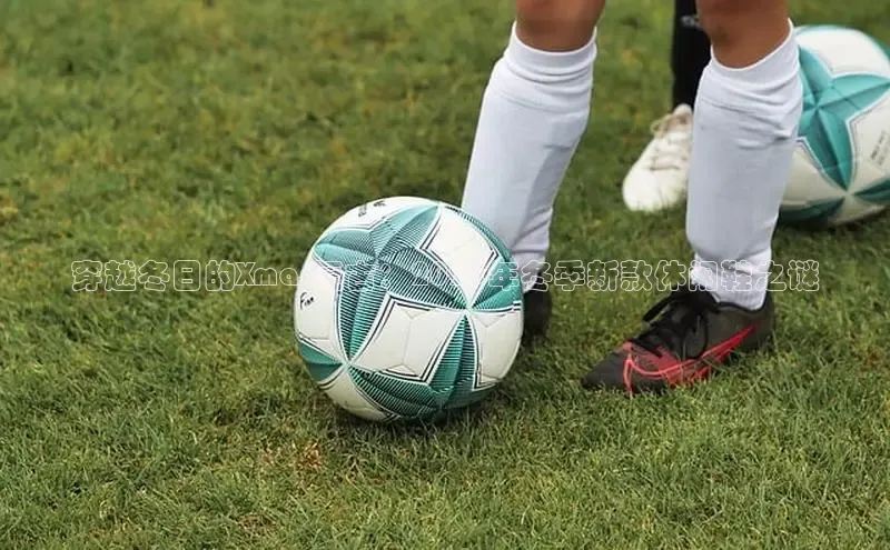 穿越冬日的Xmas复古：2025年冬季新款休闲鞋之谜